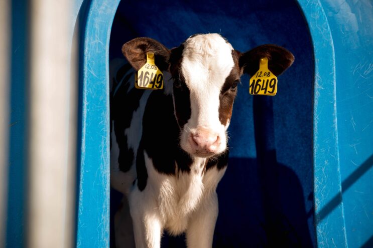 В Тверской области планируют создать 7 агроклассов В Тверской области планируют создать 7 агроклассов