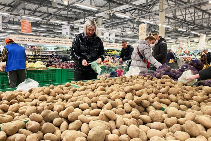 Специалисты лаборатории подтвердили качество произведенного в Верхневолжье картофеля нового урожая