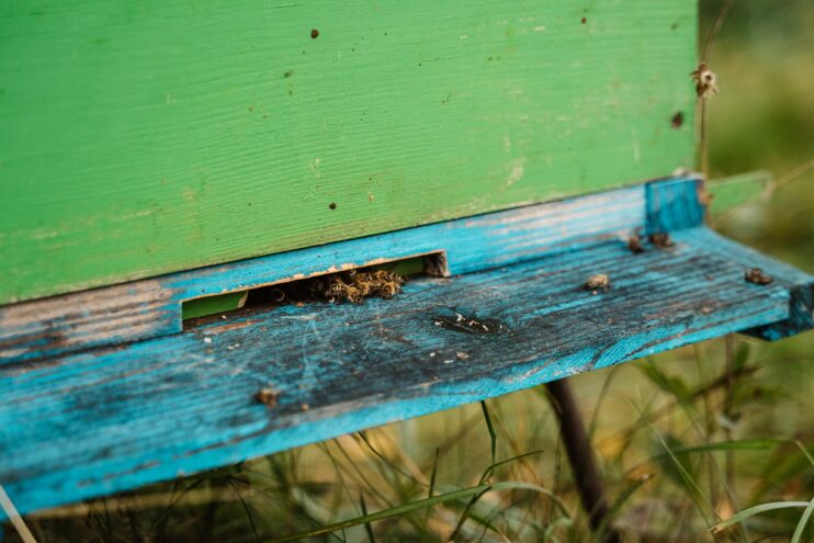 Специалисты Тверской испытательной лаборатории проверяют продукцию пчеловодства Специалисты Тверской испытательной лаборатории проверяют продукцию пчеловодства