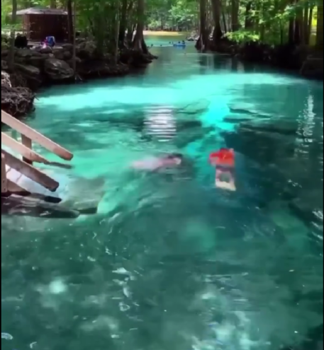 У жителей Тверской области есть 10 дней, чтобы поплавать в новом водоеме У жителей Тверской области есть 10 дней, чтобы поплавать в новом водоеме