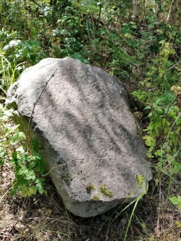 Жители Тверской области пытаются разгадать тайну камня с фамилией, найденного на болоте