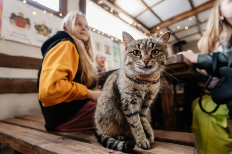 В Госдуму внесут законопроект о короткой рабочей пятнице