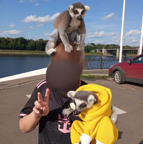 В тверском горсаду разгуливает навязчивый мошенник с лемурами