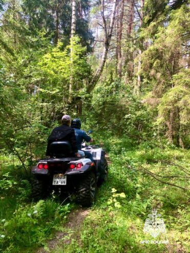 Спасатели отыскали в лесу под Кимрами мужчину, у которго случился приступ