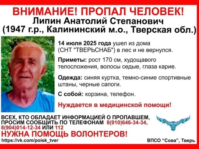 В лесу под Тверью пропал 78-летний грибник