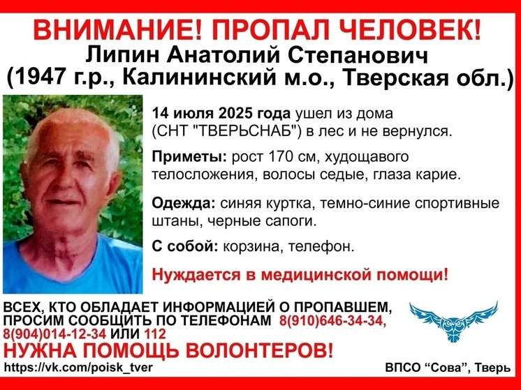 В лесу под Тверью пропал 78-летний грибник В лесу под Тверью пропал 78-летний грибник