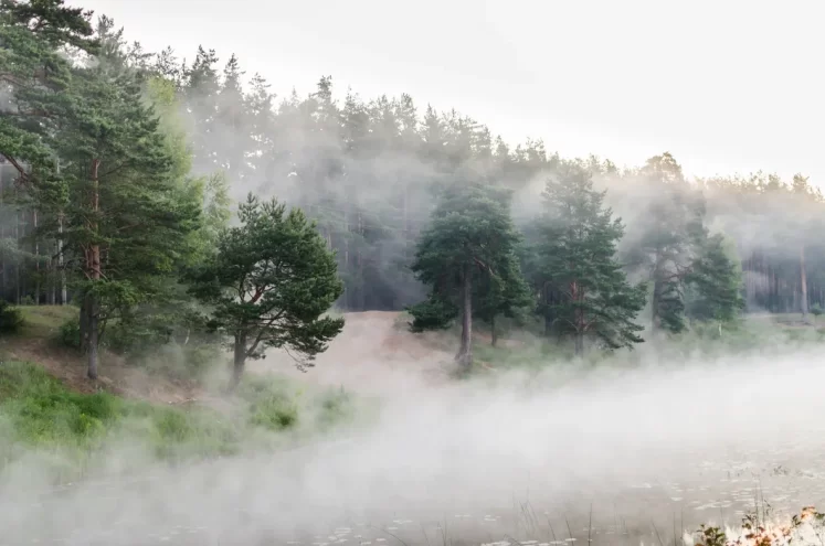 Синоптики советуют жителям Тверской области не ждать бабьего лета погода