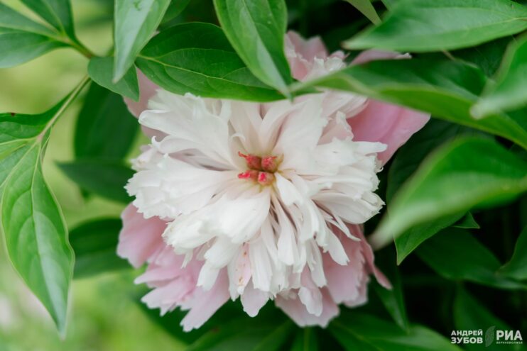 На этой неделе погода дважды удивит жителей Тверской области На этой неделе погода дважды удивит жителей Тверской области