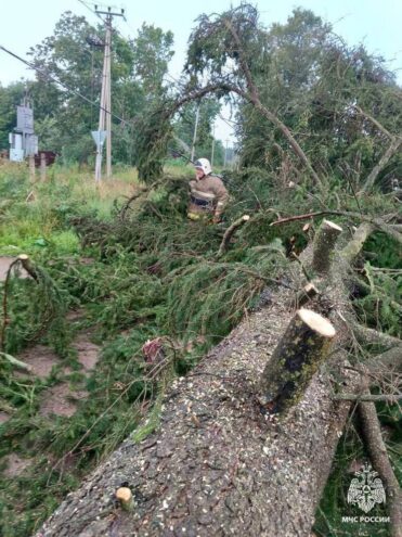 В Андреаполе сотрудники МЧС ликвидировали последствия непогоды В Андреаполе сотрудники МЧС ликвидировали последствия непогоды