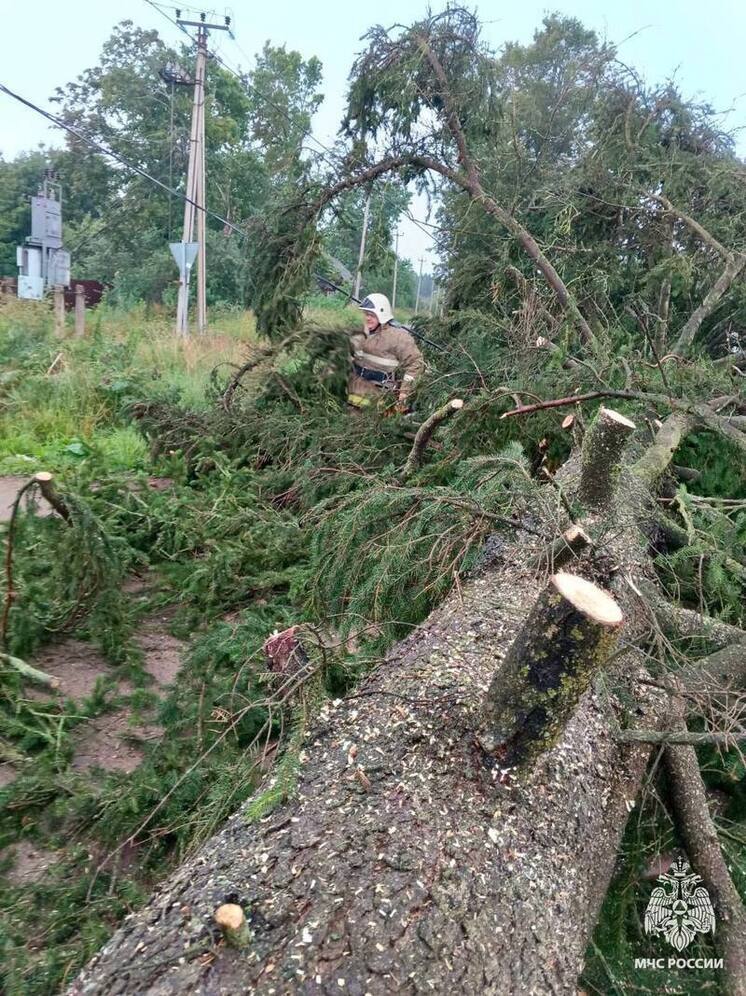 В Андреаполе сотрудники МЧС ликвидировали последствия непогоды В Андреаполе сотрудники МЧС ликвидировали последствия непогоды