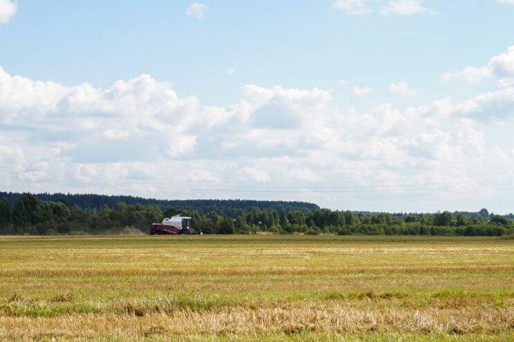 По принятым Россельхознадзором мерам в Тверской области вовлечено в оборот свыше 11 га сельхозугодий