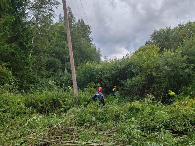 Более 60% работ по расчистке просек под линиями электропередачи в Тверской области выполнено за первую неделю учений «Россети Центр» и «Россети Центр» и Приволжье»