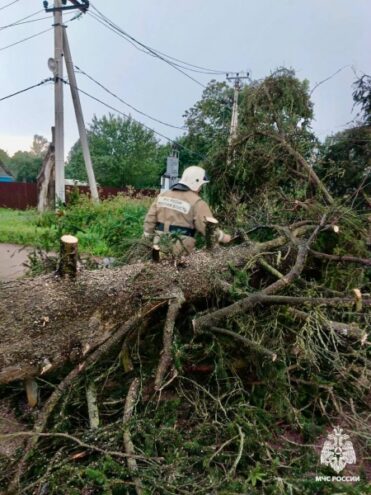 Последствия урагана в Тверской области ликвидируют спасатели