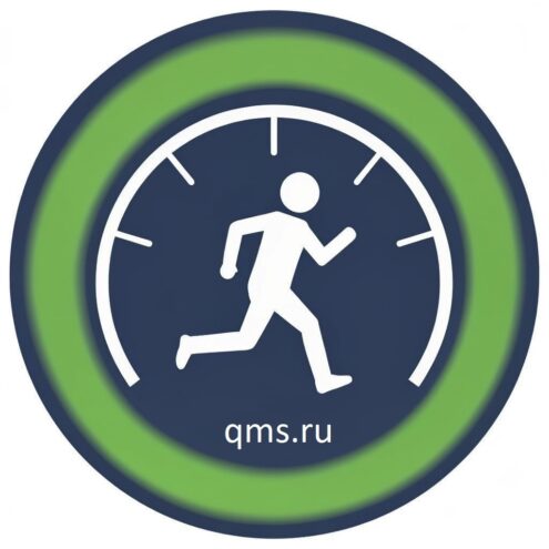 С точностью до бита: число проверок скорости в сервисе QMS превысило 1 миллион С точностью до бита: число проверок скорости в сервисе QMS превысило 1 миллион