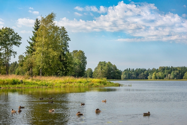 жара