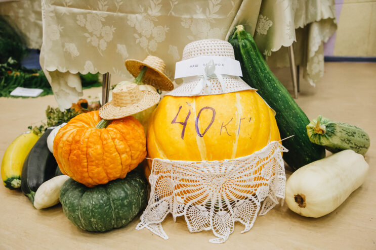 В Тверской области проходит акция «Семьям Верхневолжья – урожай от сердца» В Тверской области проходит акция «Семьям Верхневолжья – урожай от сердца»