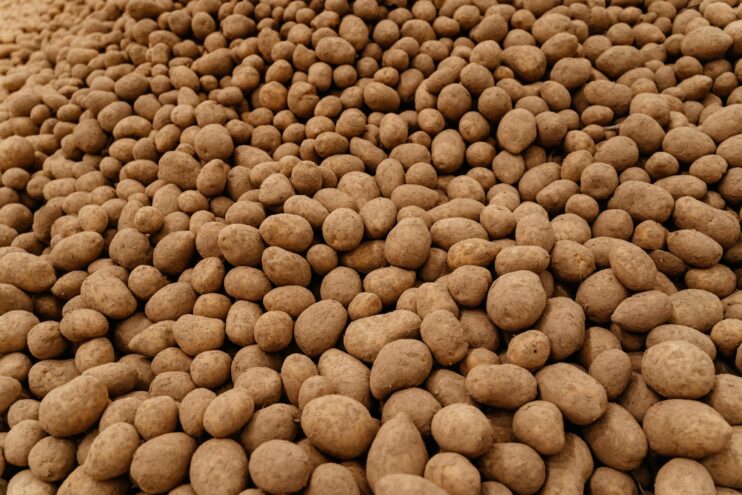 Выращенный в Тверской области картофель прошел комплексную лабораторную проверку Выращенный в Тверской области картофель прошел комплексную лабораторную проверку