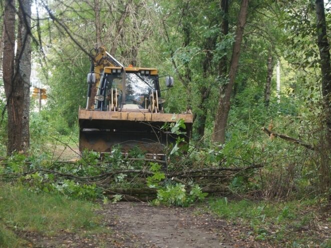 Благоустройством школьного парка занялись в Тверской области Благоустройством школьного парка занялись в Тверской области
