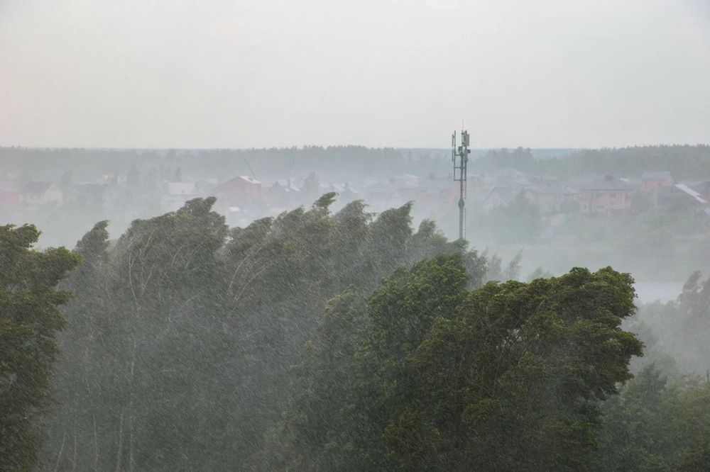 Сутки в Тверской области будут властвовать ливни и порывистый ветер
