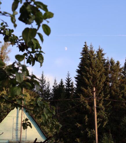 Погода на завтра в Твери погода природа