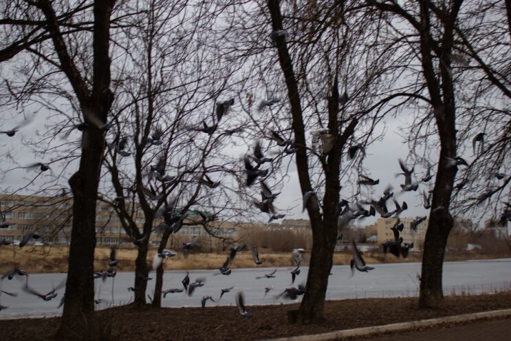 Погода в Твери на завтра погода