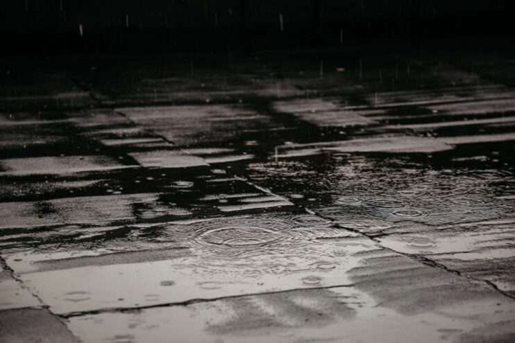 Осенняя хандра: погода в Тверской области на неделю Осенняя хандра: погода в Тверской области на неделю