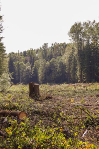 Погода в Твери на  сегодня погода