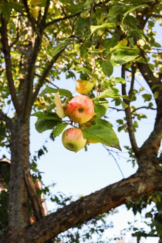 Погода в Твери на завтра погода