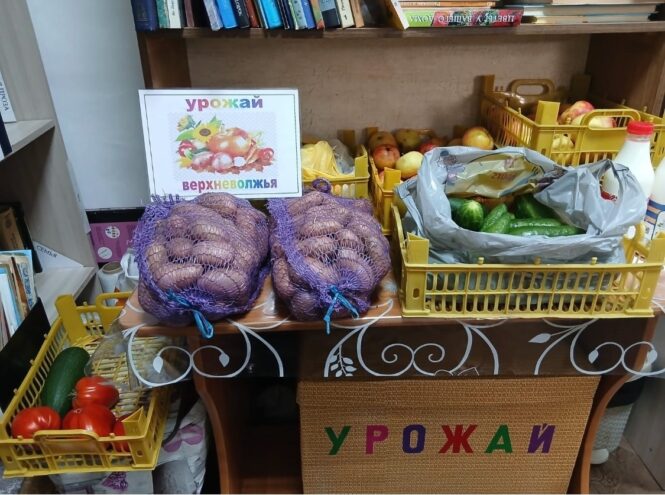 Жителям Вышневолоцкого округа передали больше 500 килограммов овощей и фруктов Жителям Вышневолоцкого округа передали больше 500 килограммов овощей и фруктов