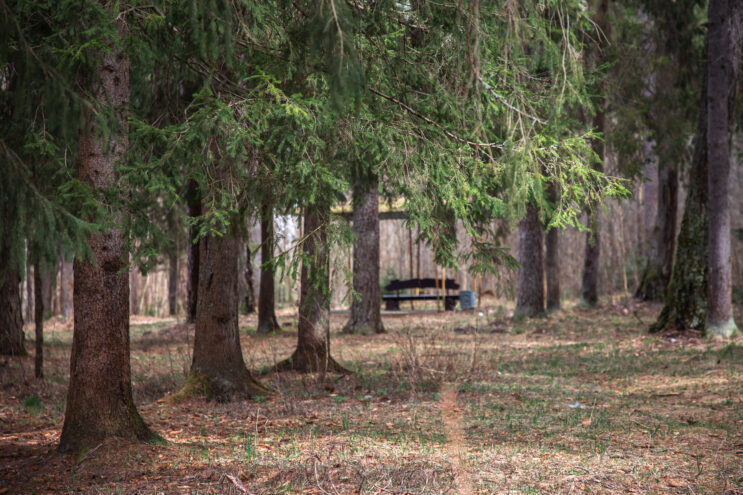 В Тверской области прошел финальный поход экспедиции на родину героев