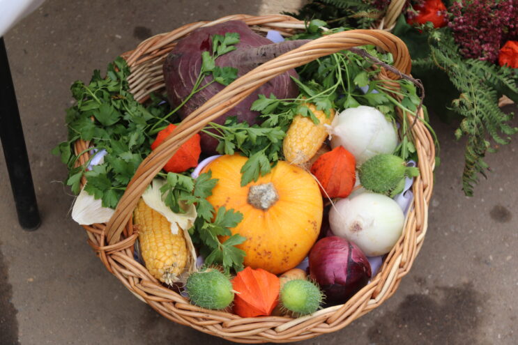 Многодетным семьям в Андреаполе вручили домашние заготовки и овощи Многодетным семьям в Андреаполе вручили домашние заготовки и овощи