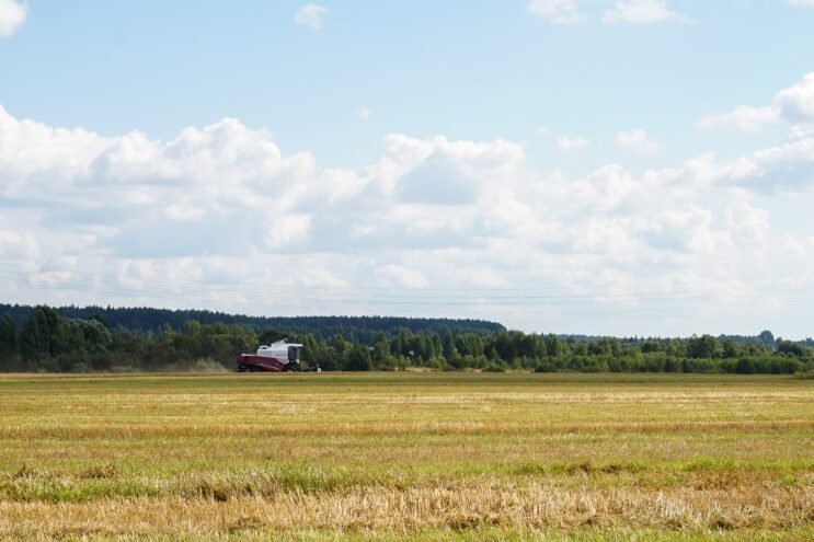 В Конаковском округе у собственника в судебном порядке изъят неиспользуемый участок сельхозназначения