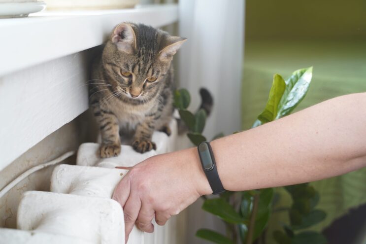 В Осташковском муниципальном округе обсудили готовность к отопительному сезону В Осташковском муниципальном округе обсудили готовность к отопительному сезону