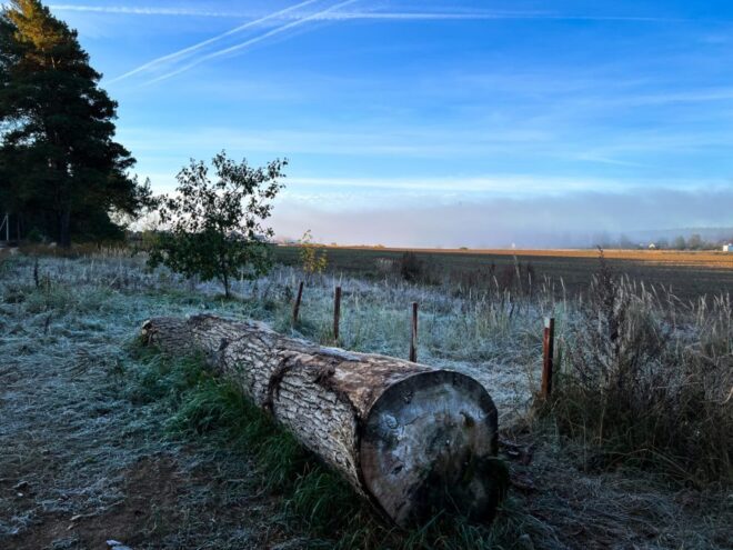 На территорию Европейской России вернулись заморозки: что с погодой в Тверской области На территорию Европейской России вернулись заморозки: что с погодой в Тверской области