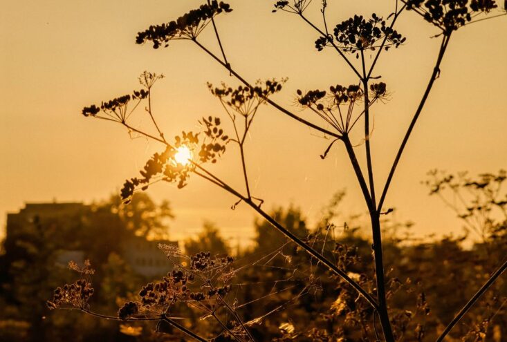 Тепло ненадолго вернется в Тверскую область Тепло ненадолго вернется в Тверскую область
