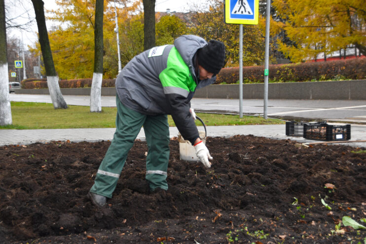 В Твери продолжаются сезонные работы по благоустройству