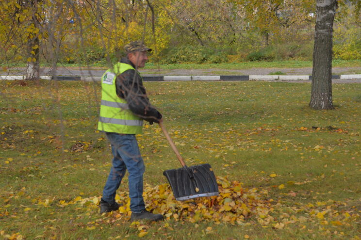 В Твери продолжаются сезонные работы по благоустройству парков и зеленых зон В Твери продолжаются сезонные работы по благоустройству парков и зеленых зон