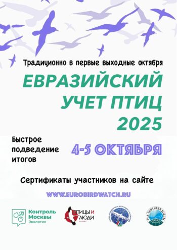 Школьников Верхневолжья приглашают к участию в акции «Евразийский учет птиц» Школьников Верхневолжья приглашают к участию в акции «Евразийский учет птиц»