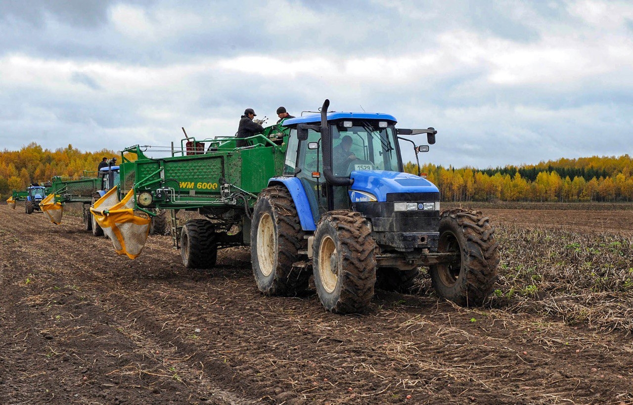 В Тверской области завершается уборочная кампания с ростом урожайности и валового сбора В Тверской области завершается уборочная кампания с ростом урожайности и валового сбора