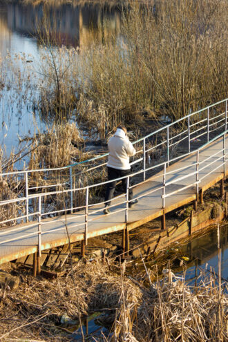 Погода в Твери на завтра Погода в Твери на завтра