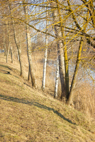Погода в Твери на завтра Погода в Твери на завтра