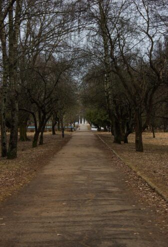 Погода в Твери на завтра Погода в Твери на завтра