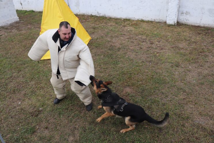 В УФСИН по Тверской области определили лучших кинологов на соревнованиях В УФСИН по Тверской области определили лучших кинологов на соревнованиях
