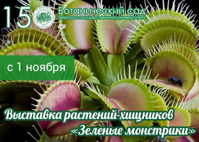 Выставка «Зеленые монстрики» с хищными растениями открывается в Саду Души Выставка «Зеленые монстрики» с хищными растениями открывается в Саду Души