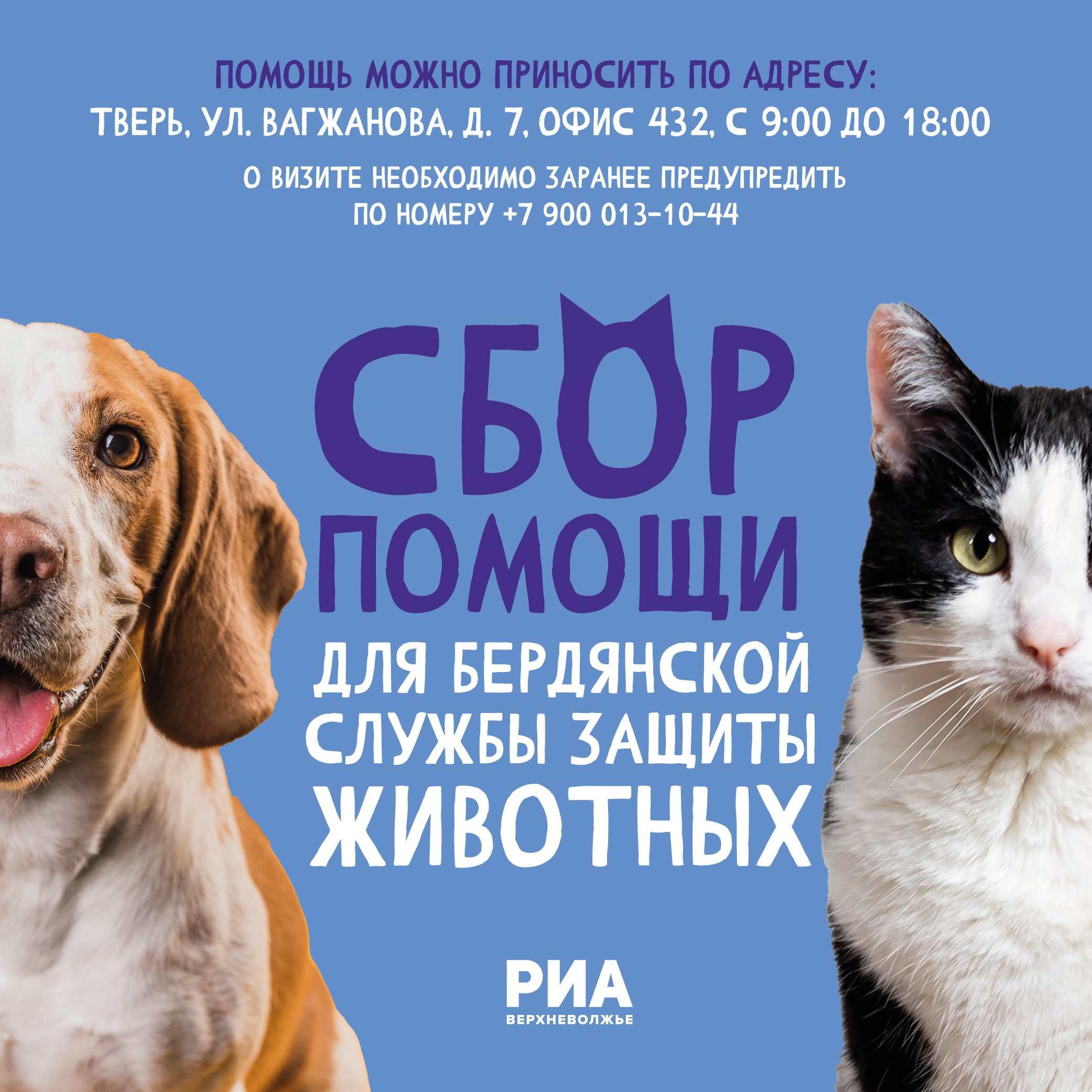 Медиахолдинг РИА «Верхневолжье» открыл сбор помощи для Бердянской службы защиты животных