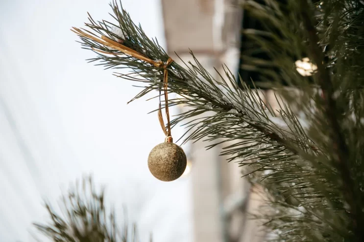 Синоптик рассказал, каким будет предстоящий декабрь Синоптик рассказал, каким будет предстоящий декабрь