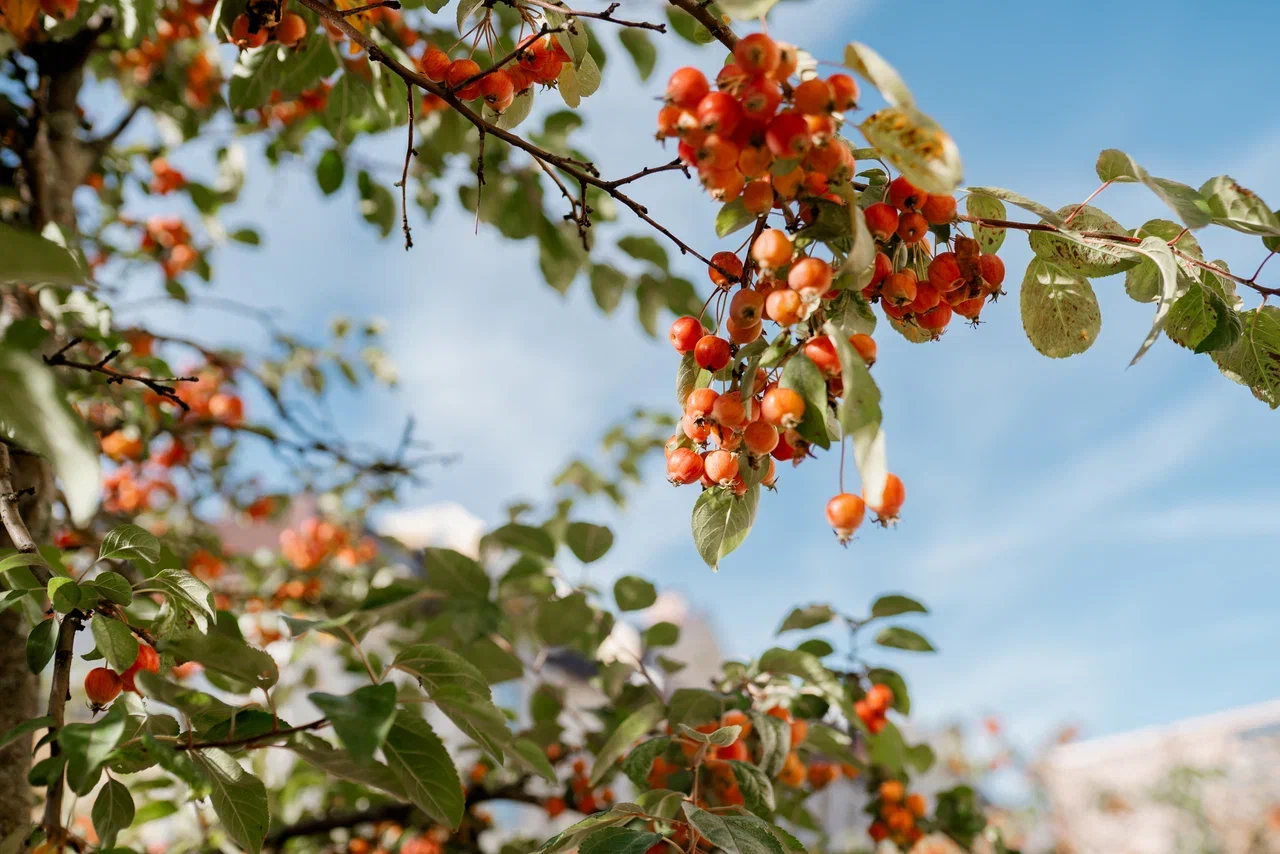 Стало известно, когда наладится погода в Тверской области Стало известно, когда наладится погода в Тверской области