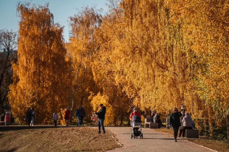Температура в Тверской области начнет стремительно расти Температура в Тверской области начнет стремительно расти