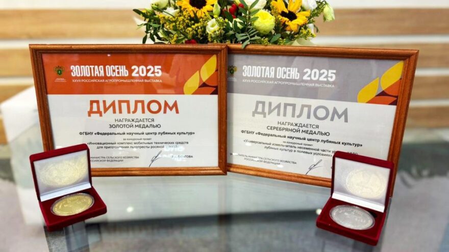 У льна – космические перспективы, уверены в Федеральном научном центре лубяных культур У льна – космические перспективы, уверены в Федеральном научном центре лубяных культур