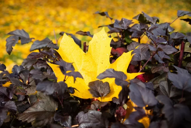 В праздничные выходные Тверской области повезет с погодой В праздничные выходные Тверской области повезет с погодой
